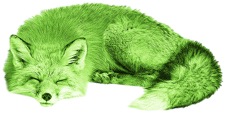 sleepy fox
